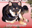 Informationen